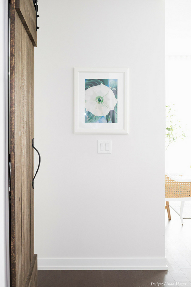 Rustic Barn Door